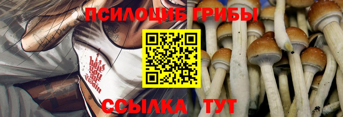 Кириши  Псилоцибиновые грибы прущие грибы  Вход с VPN 